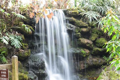 Breathtaking Waterfalls at Rainbow Springs State Park - Ocala-News.com