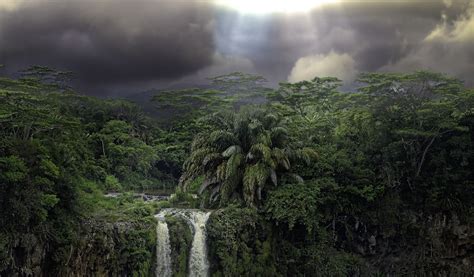 Tropical Jungle Wallpaper Hd - downxfile