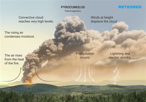 What are pyrocumulus or flammagenitus clouds?