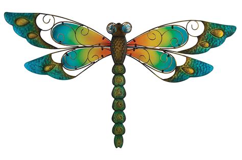 Dragonfly PNG Transparent Images, Pictures, Photos