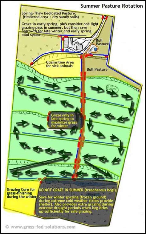 Example Pasture Rotation and Farm Plan for a Grass Fed Beef Business ...