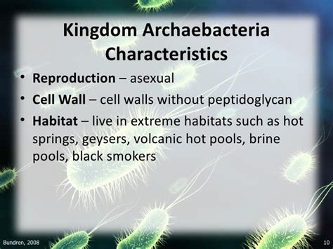 Archaebacteria Nutrition And Reproduction – Blog Dandk