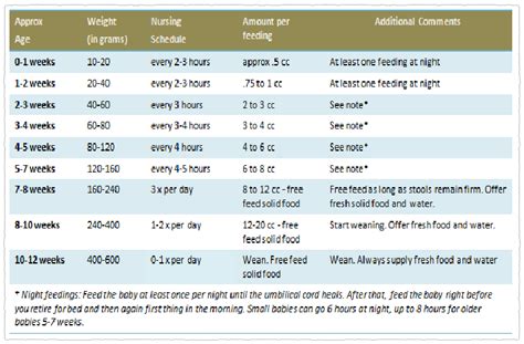 Baby Squirrel Feeding Chart - Chart Examples