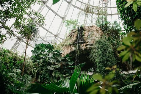 Engagement Session in a Rainforest Conservatory | Houston TX