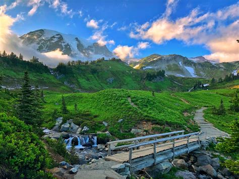 Mt Rainier Hiking Trails - Sayre Courtnay