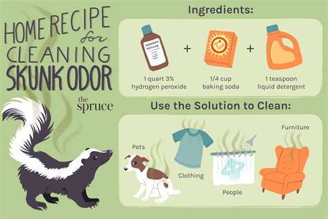 How Long Does Skunk Smell Last on a Dog: Tips to Remove Odor - Dog Show TV