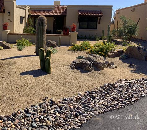 Arizona_Desert_Xeriscape_Landscape_After_Renovation_AZ_Plant_Lady-004 ...