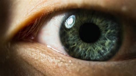 Extreme Close Up of Person's Eye · Free Stock Photo