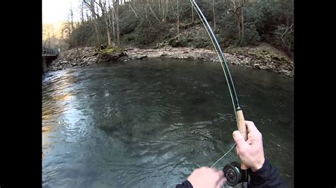 UPPER NANTAHALA RIVER FLY FISHING BROWN TROUT - YouTube