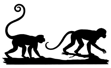 Vintage Silhouette Image - Monkeys - The Graphics Fairy Silhouette Clip ...