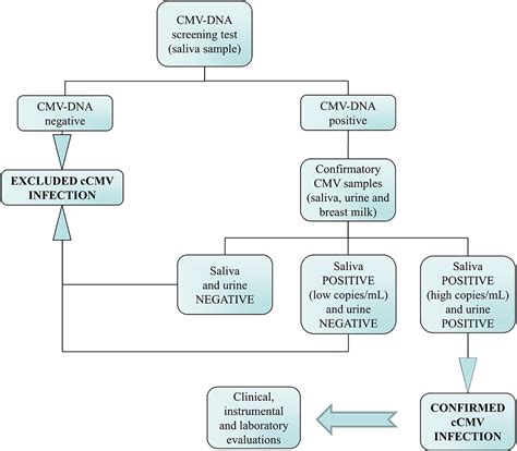 Frontiers | Universal Newborn Screening for Congenital Cytomegalovirus ...