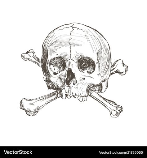 Hand drawing skull and bones Royalty Free Vector Image