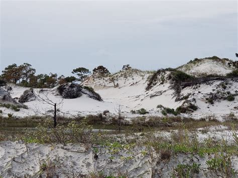 Barrier Islands in the FL Panhandle | My Exquisite Florida