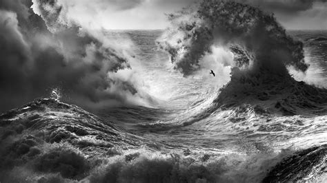 2560x1440 Resolution Sea With Big Waves Monochrome 1440P Resolution ...