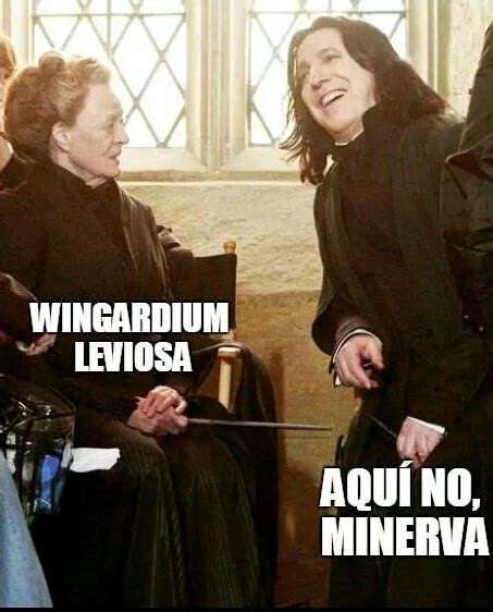 Wingardium Leviosa - Meme by Frany321 :) Memedroid