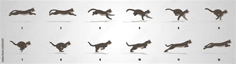 Cat Run cycle animation sequence Stock Vector | Adobe Stock