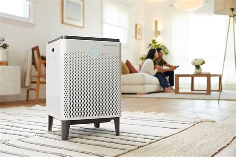 Different Between Air Purifier Vs Humidifier - Live Enhanced