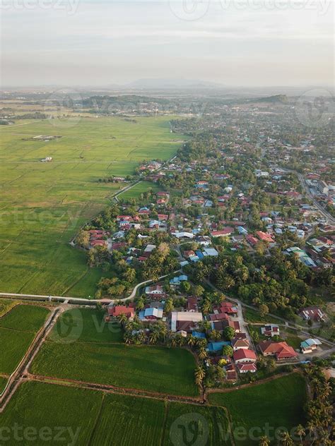 Aerial view scenery golden paddy field 21650619 Stock Photo at Vecteezy