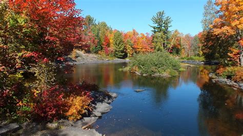 Pin on Fall Colors in Algonquin Highlands