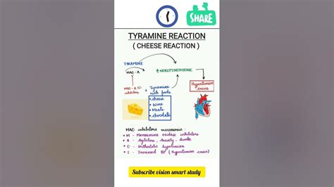 cheese reaction (tyramine reaction)#pharmacology - YouTube