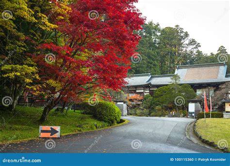 Autumnal Scenery of Nikko National Park Stock Photo - Image of place ...