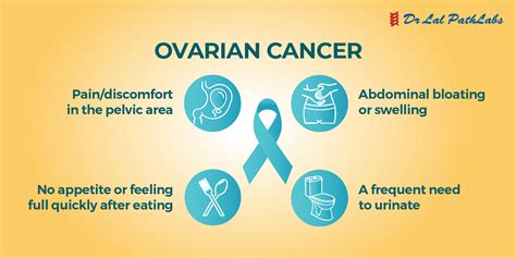 Ovarian Cancer: Causes, Symptoms, and Diagnosis - Dr Lal PathLabs Blog