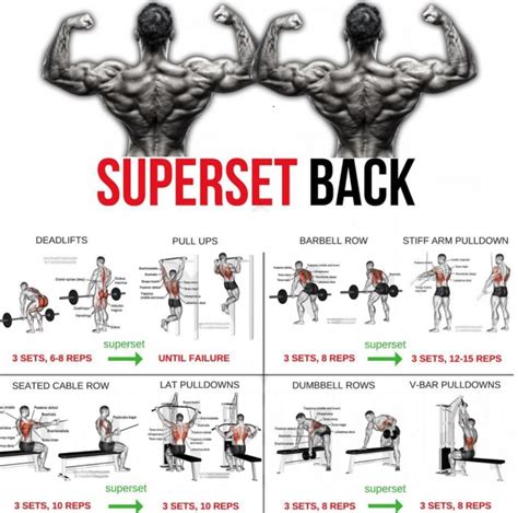 Superset Back! Best Lat Workout Plan 2018 - Yeah We Train ! - Workouts ...