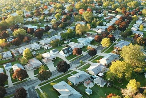 The Changing Face of Suburban Schools: A Collection