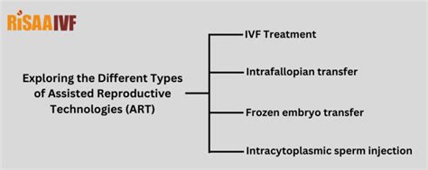 different types of assisted reproductive technology