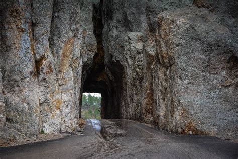 Why Is the Needles Highway Such An Amazing Experience? | South dakota ...