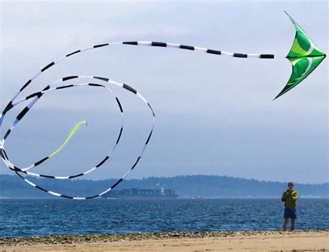 The World's Largest Kite | Kitty Hawk Kites