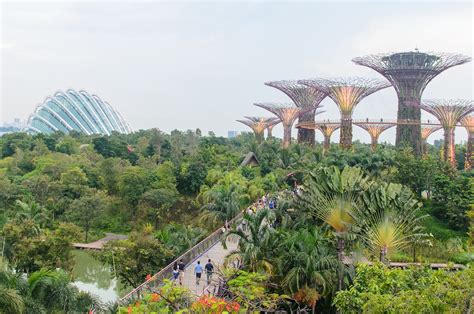 Singapore: Flower Dome and Cloud Forest, a botanical world