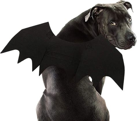 Amazon.com : Rypet Dog Bat Costume - Halloween Pet Costume Bat Wings ...