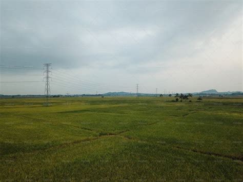 Aerial View Agricultural Paddy Field - Stock Photos | Motion Array