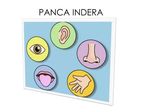 Pengertian panca Indera - UtakAtikOtak.com