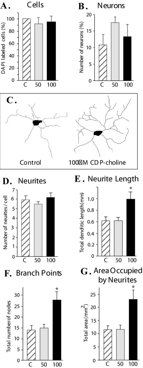 Effect of CDP-choline on survival and morphology of neurons in culture ...