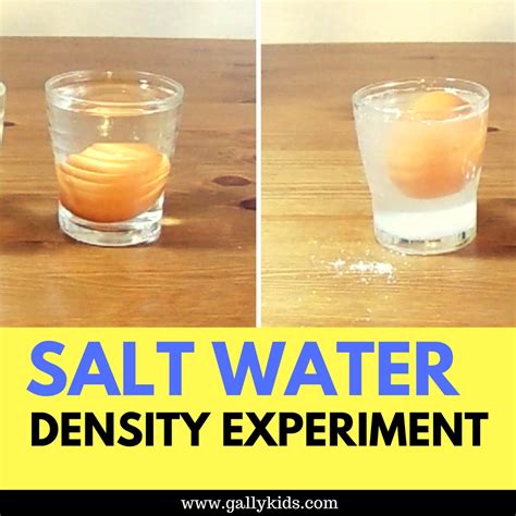 Density Experiment With Water - Watch The Floating Egg!