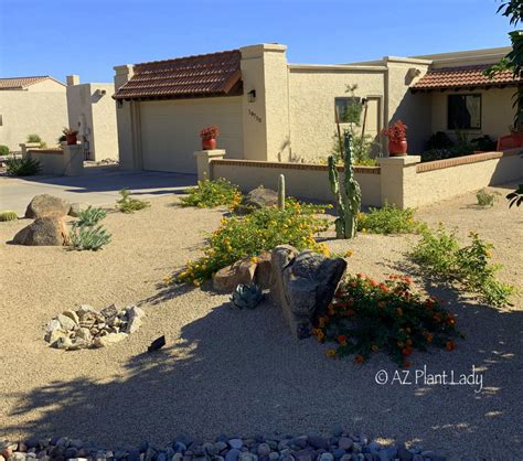 Arizona_Desert_Xeriscape_Landscape_After_Renovation_AZ_Plant_Lady-003 ...