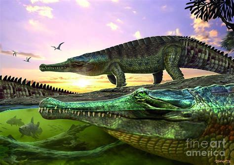 Machimosaurus rex was a 23 foot/7 meter long Crocodyliform that lived ...