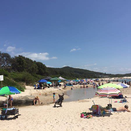 Family fun - Picture of Fingal Bay Beach - Tripadvisor