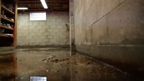 How to Identify and Repair Basement Water Damage in West Virginia ...