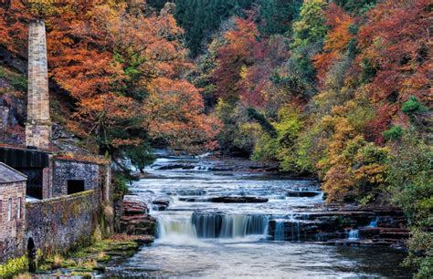 Free Images : landscape, tree, nature, wilderness, leaf, river, valley ...