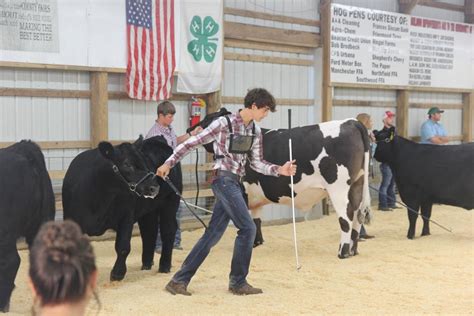 Wabash County 4-H Fair continues | News | wabashplaindealer.com