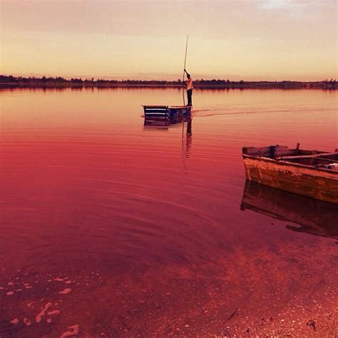 Tatiana MA on Twitter | Lake retba, Lake retba senegal, Lake