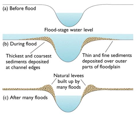 SHOULD I TRUST THAT LEVEE? - J. David Rogers