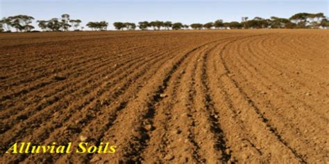 Alluvial Soils in Indian Subcontinent - QS Study