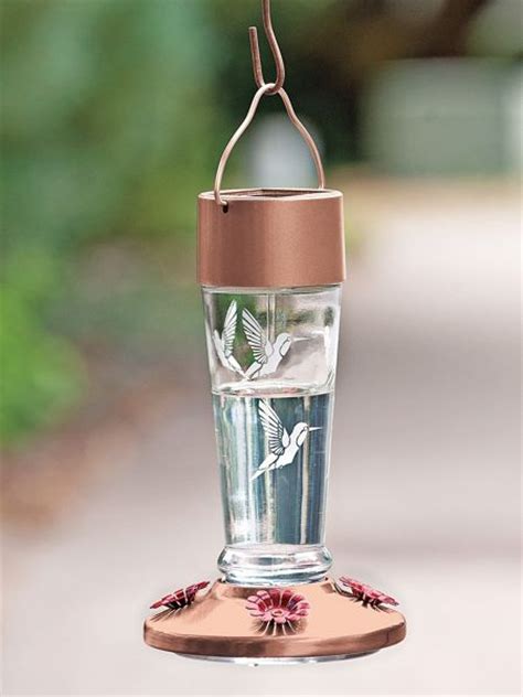 Solar Lighted Glass Hummingbird Feeders | Solutions