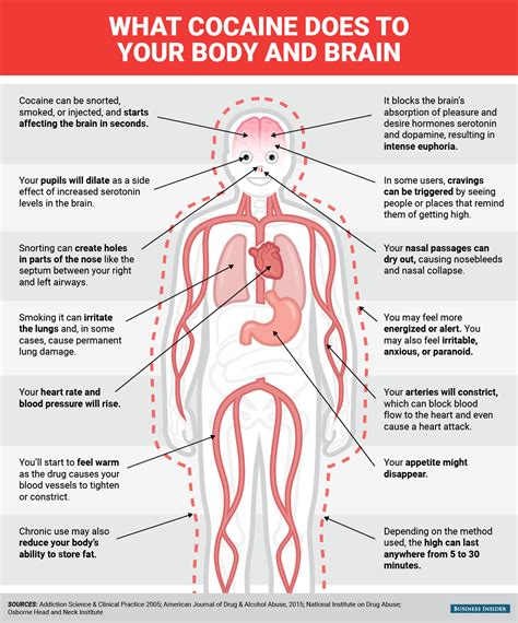 Physical and mental effects of cocaine - Business Insider