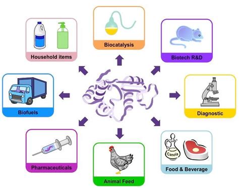 Applications of Enzymes in Industry