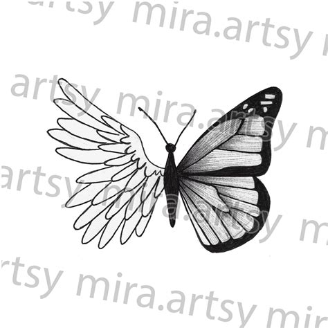 Half Angel Wing Butterfly Drawing Scan - DIGITAL DOWNLOAD for Tattoo ...